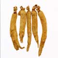 Ginseng Radix